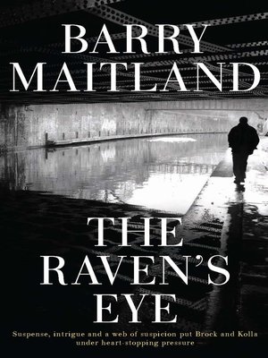 cover image of The Raven's Eye